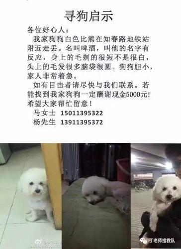 20221111215517_31717