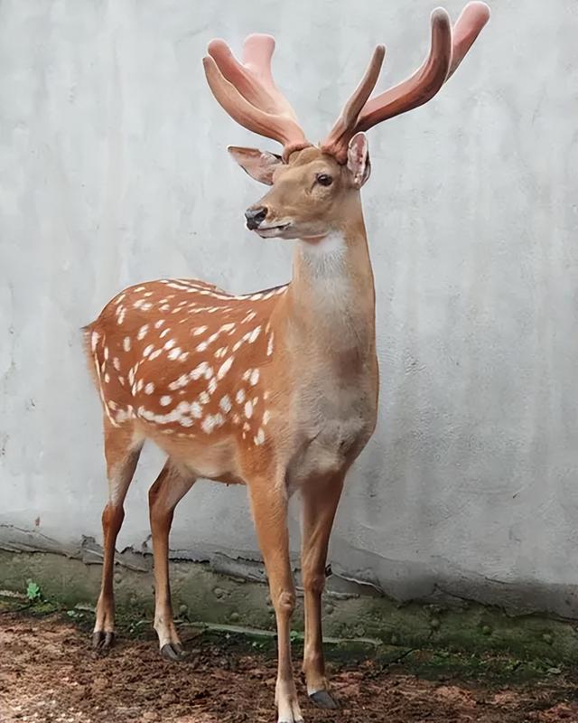 20221111231633_64734