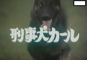 警犬卡尔全集，警犬卡尔全集中文版-警犬训练器材厂家 _警犬训练用品_工作犬训练用品-南京开久警犬装备