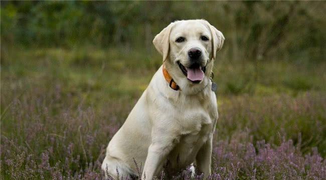 20221111232204_34229