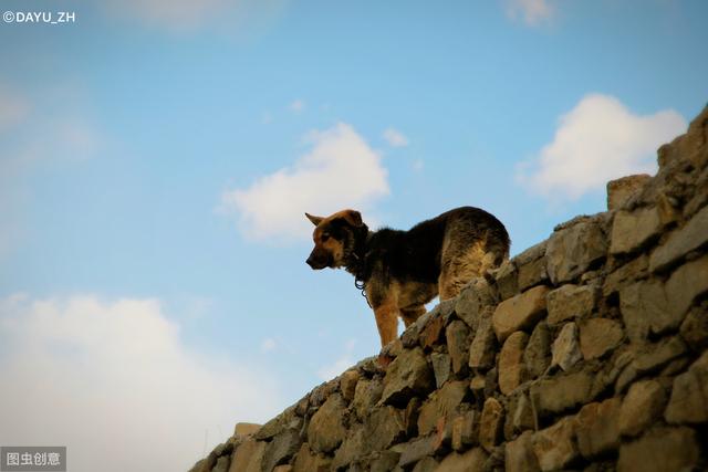 20221112092729_13375