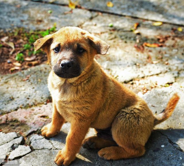 20221112092729_15345