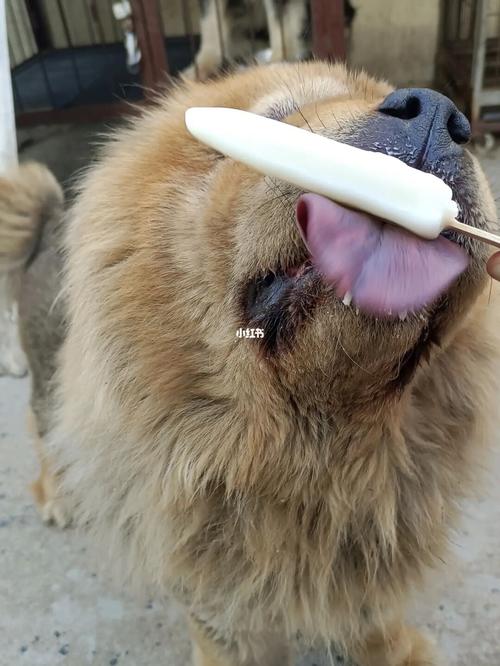 20221112124535_24947 20221112124535_24947