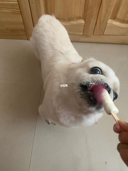 20221112124535_39233 20221112124535_39233