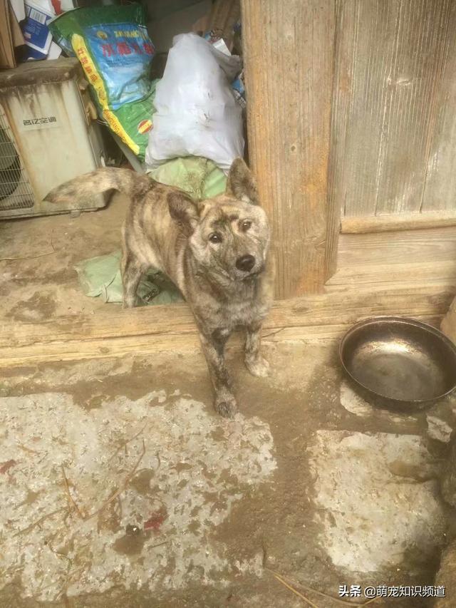 20221112135541_36283