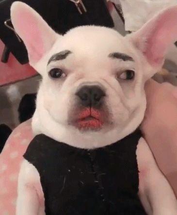 20221112142919_83182