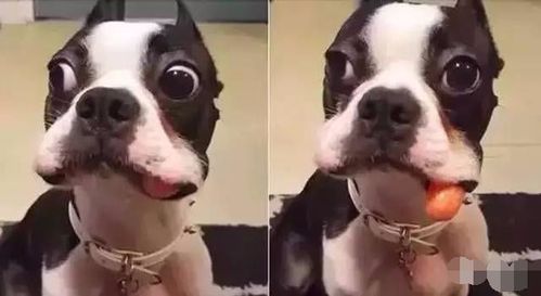 20221112142920_62876