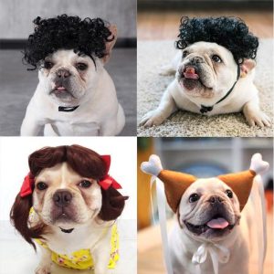 狗狗为什么要带头套(狗狗带的头套)-警犬训练器材厂家 _警犬训练用品_工作犬训练用品-南京开久警犬装备