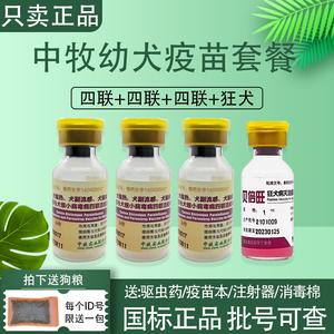 犬四联疫苗是什么意思(三联四联五联疫苗是什么意思)-警犬训练器材厂家 _警犬训练用品_工作犬训练用品-南京开久警犬装备