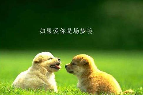 20221113082950_29945 20221113082950_29945