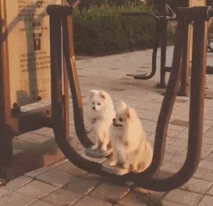 20221113082950_34254