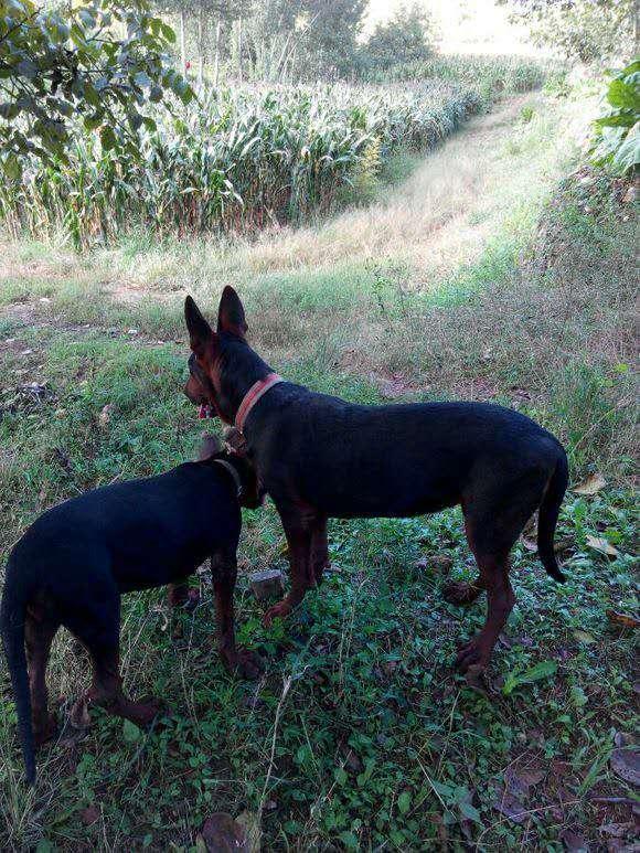 20221113083213_27720