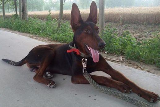 20221113083213_92708