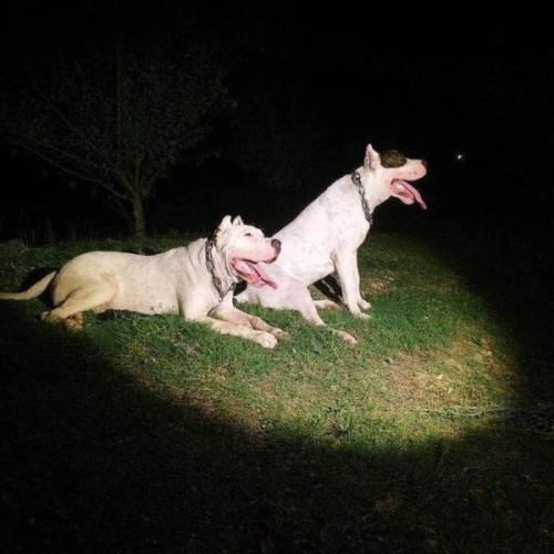 20221113090020_66589