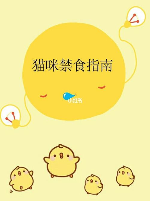 20221113113622_53126