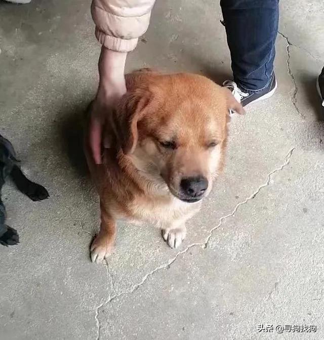 20221113121547_39898 20221113121547_39898