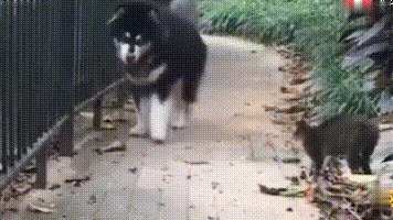 20221113135445_44317