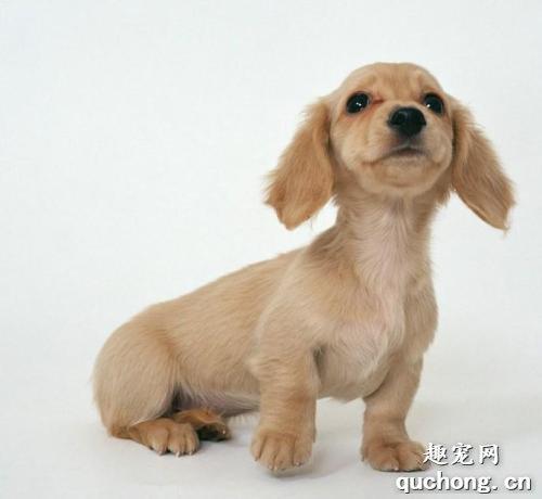 20221113184741_39822 20221113184741_39822