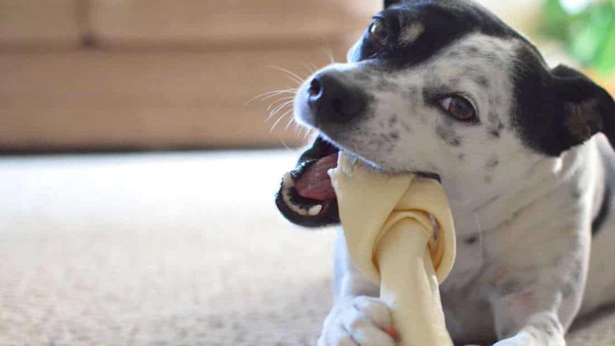 20221113184741_57162 20221113184741_57162