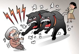 安阳狗咬人(安阳狗咬人的事件最终处理结果)-警犬训练器材厂家 _警犬训练用品_工作犬训练用品-南京开久警犬装备