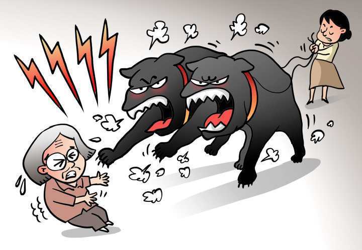 安阳狗咬人(安阳狗咬人的事件最终处理结果) - 警犬训练器材厂家 _警犬训练用品_工作犬训练用品-南京开久警犬装备-警犬训练器材厂家 _警犬训练用品_工作犬训练用品-南京开久警犬装备