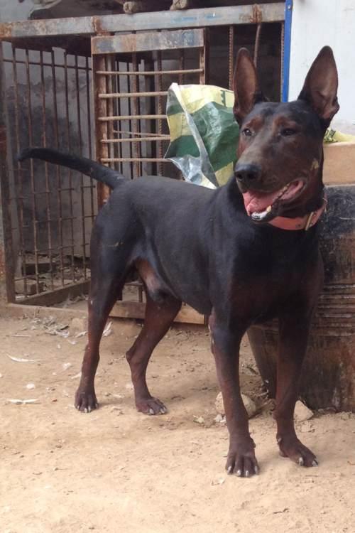 20221113194850_21887