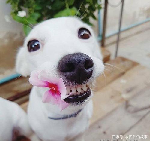 20221113201143_52383