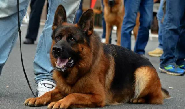 20221113210627_47605