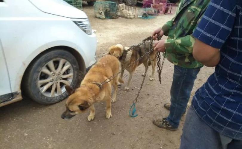 20221113220025_44363