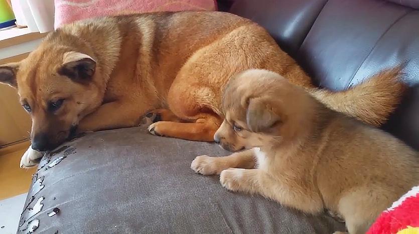 20221113225320_37774 20221113225320_37774