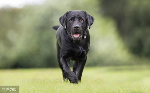 20221114122356_19544 20221114122356_19544