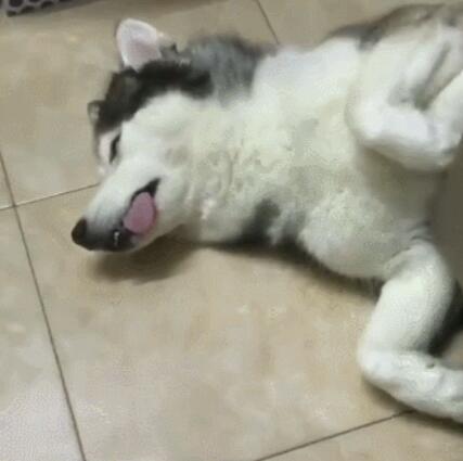 20221114123905_79619