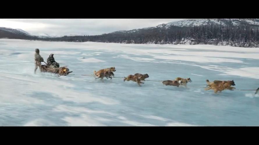 极地守护犬播放(极地守护犬在哪里可以看) - 警犬训练器材厂家 _警犬训练用品_工作犬训练用品-南京开久警犬装备-警犬训练器材厂家 _警犬训练用品_工作犬训练用品-南京开久警犬装备