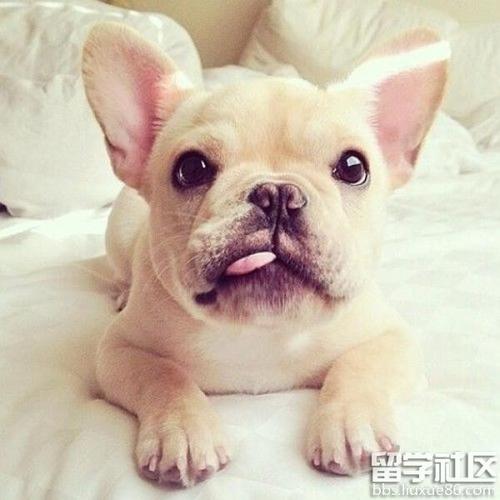 20221114173652_69209 20221114173652_69209