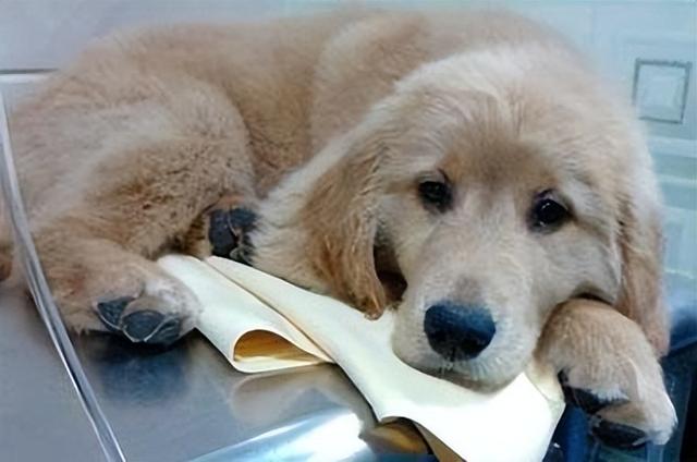 20221114182641_49862 20221114182641_49862