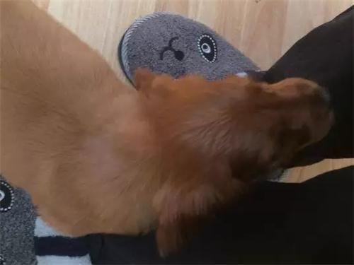 20221114204947_13054