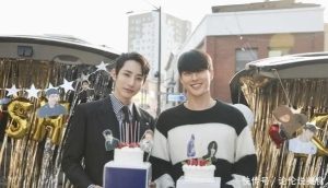 重生电视剧里面的狗是什么狗？重生电视剧讲的是什么-警犬训练器材厂家 _警犬训练用品_工作犬训练用品-南京开久警犬装备