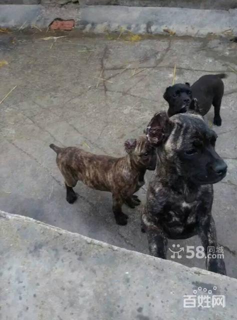 20221114212627_95064