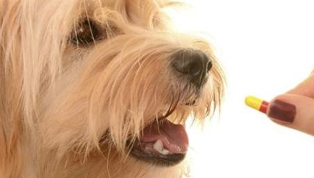 20221114212848_11175