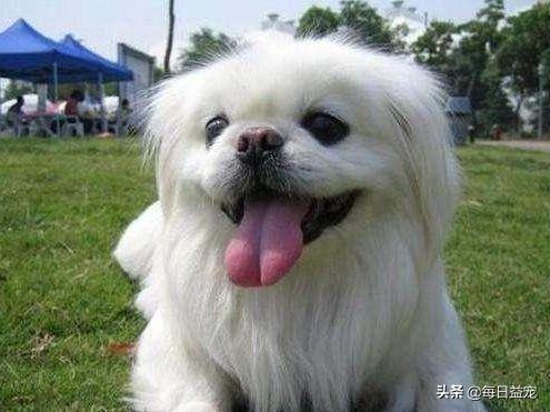 20221114221755_54713 20221114221755_54713