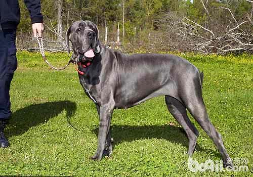 20221115091804_84110 20221115091804_84110