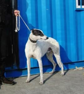 20221115092311_28319 20221115092311_28319