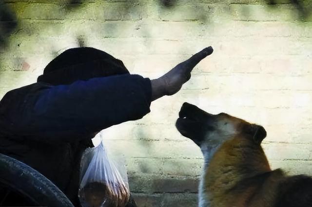 20221115095910_54180 20221115095910_54180