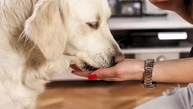 20221115095910_84839 20221115095910_84839