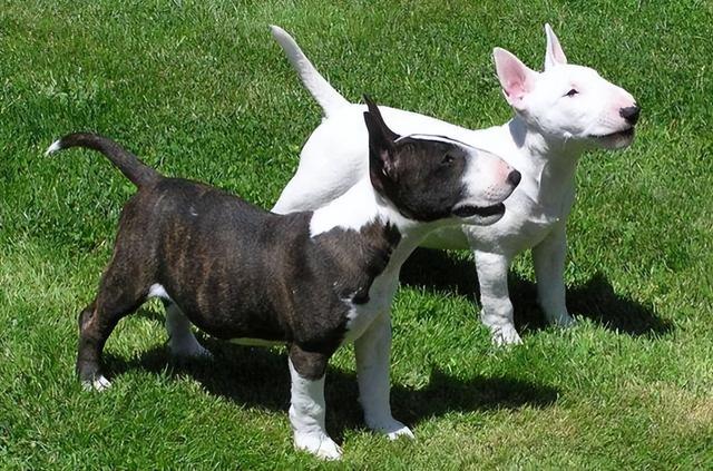 20221115113242_81478