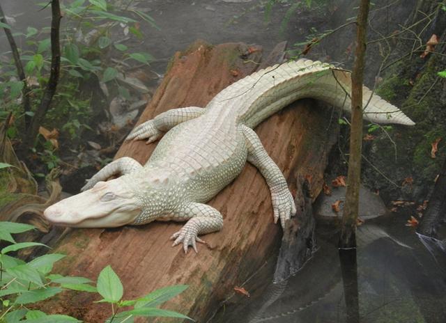 20221115174751_83833