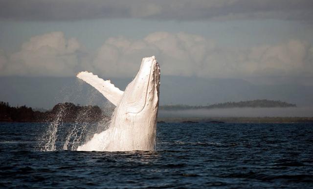 20221115174752_44374