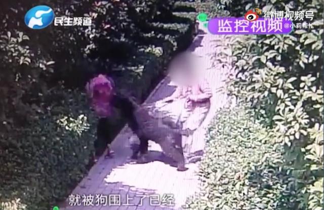 20221115183805_26967 20221115183805_26967