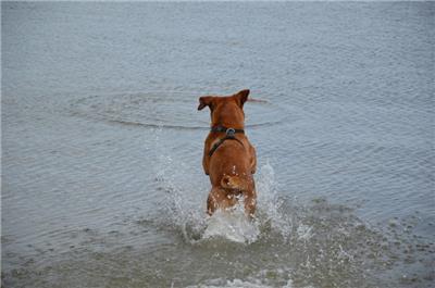 20221115191353_38094 20221115191353_38094