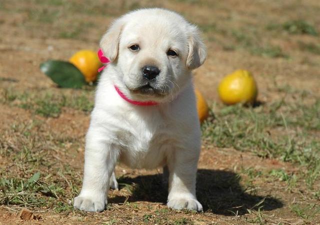 20221115194038_34499 20221115194038_34499